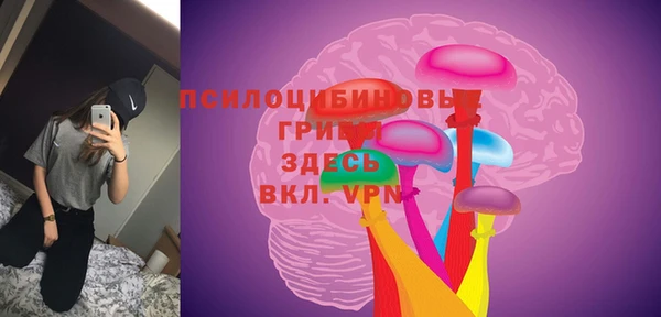 PSILOCYBIN Надым