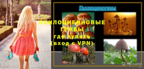 ПСИЛОЦИБИНОВЫЕ ГРИБЫ Михайловск